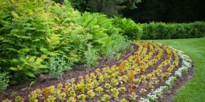 gardening
