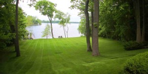 lawncare